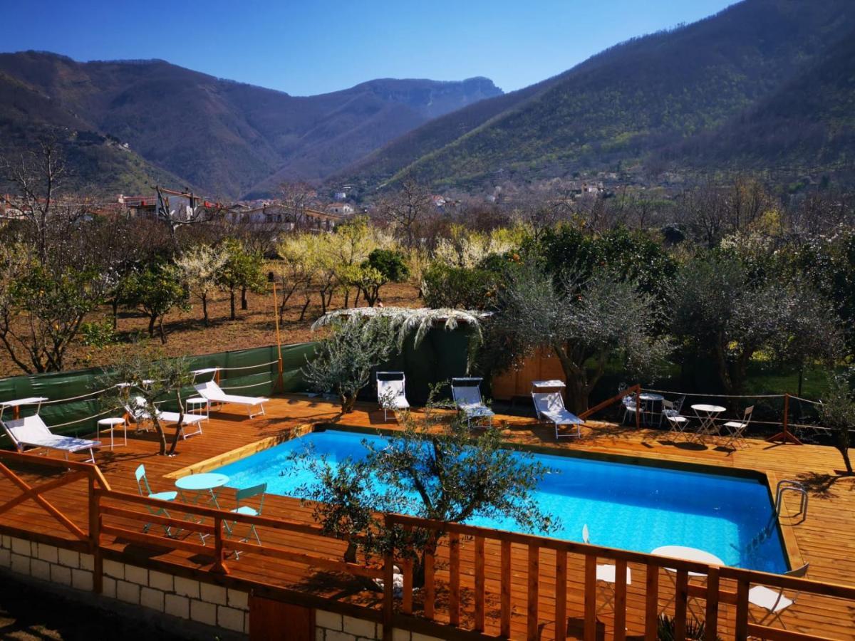 Corbara  B & B Evergreen מראה חיצוני תמונה