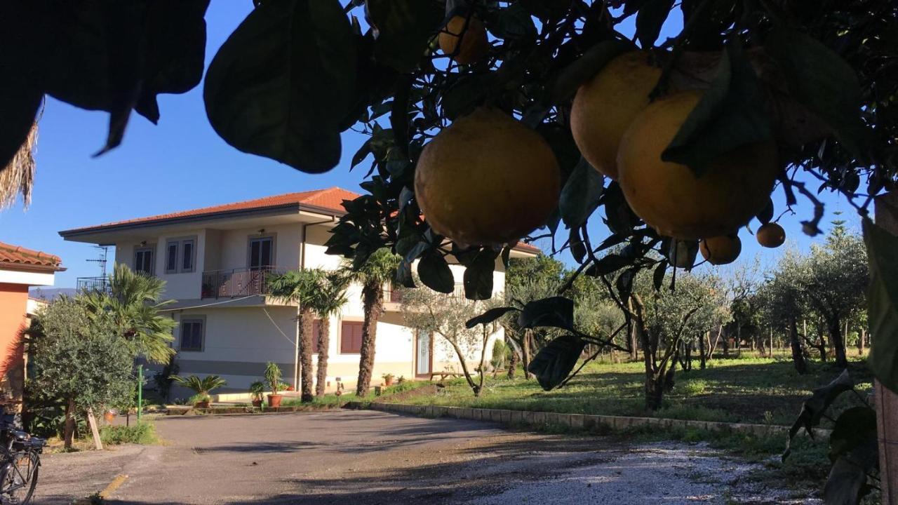 Corbara  B & B Evergreen מראה חיצוני תמונה