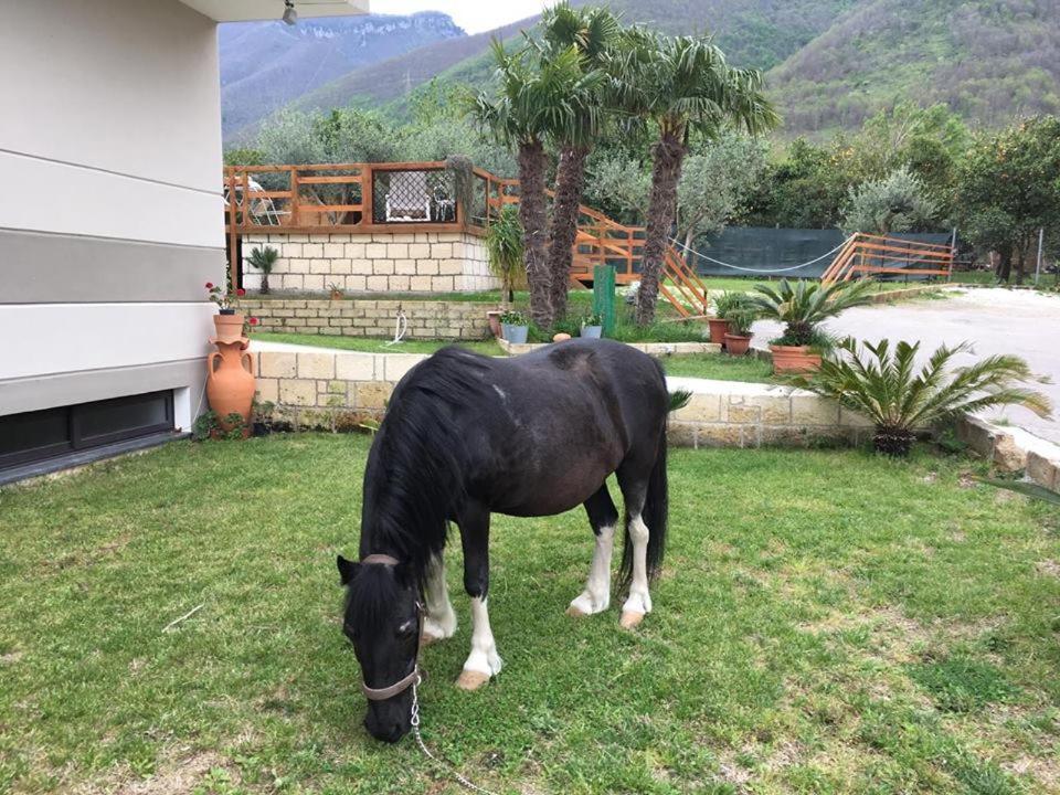 Corbara  B & B Evergreen מראה חיצוני תמונה