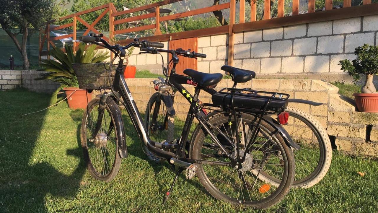 Corbara  B & B Evergreen מראה חיצוני תמונה